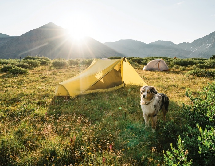 Летние развлечения на территории курорта Красная Поляна (ex. Горки Город) - Отель Rixos Krasnaya Polyana Sochi / Риксос Красная Поляна Сочи