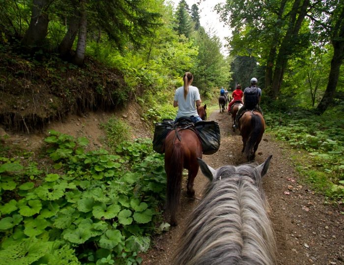 Летние развлечения на территории курорта Красная Поляна (ex. Горки Город) - Отель Rixos Krasnaya Polyana Sochi / Риксос Красная Поляна Сочи